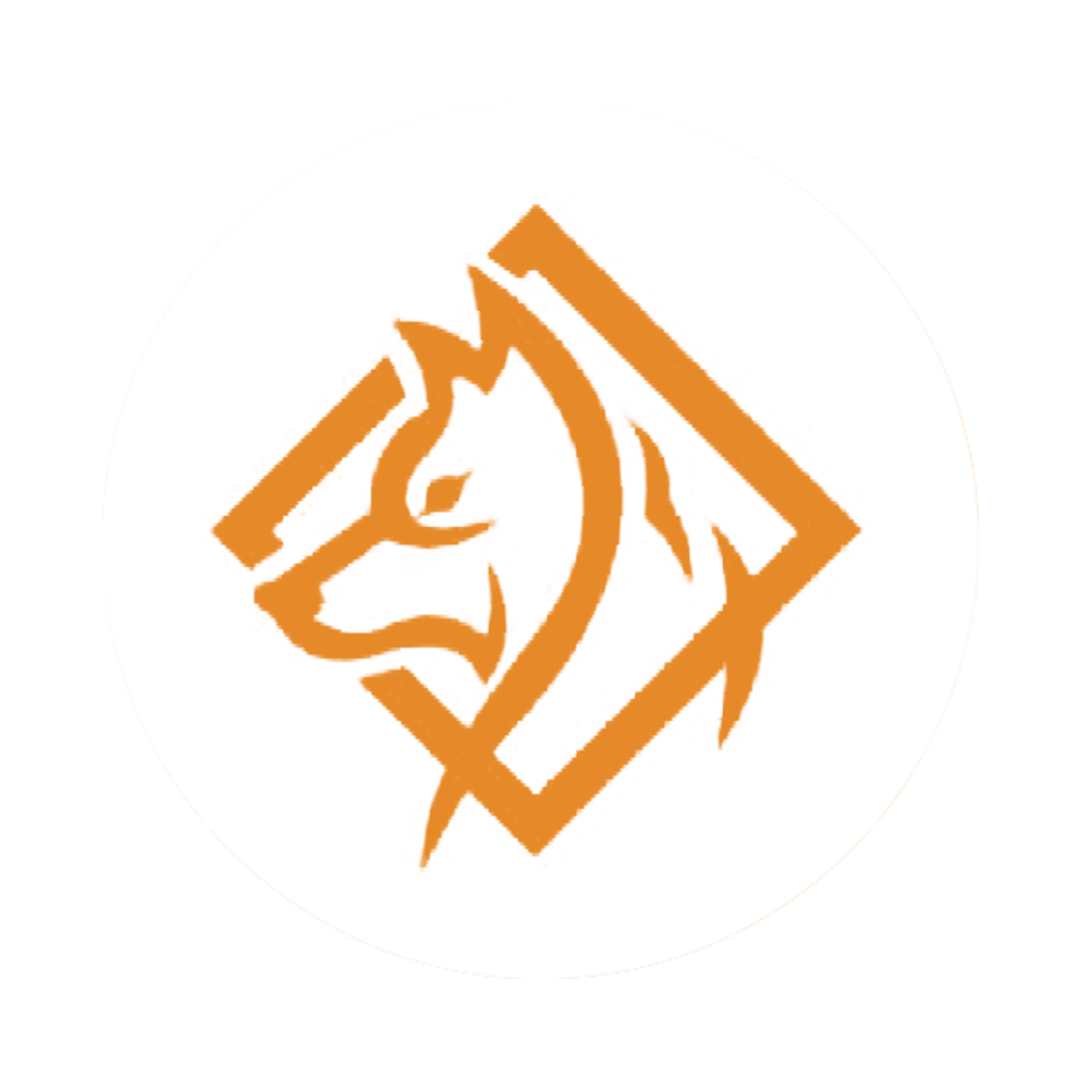 zighiri zizzu invitational cup